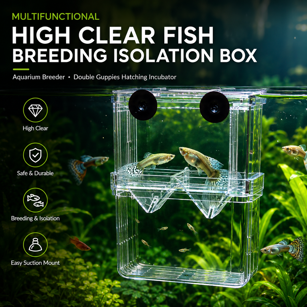Multifunctional Clear Aquarium Fish Breeding Isolation Box for Guppies